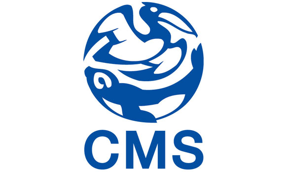 Will CMS bring global manta protection?