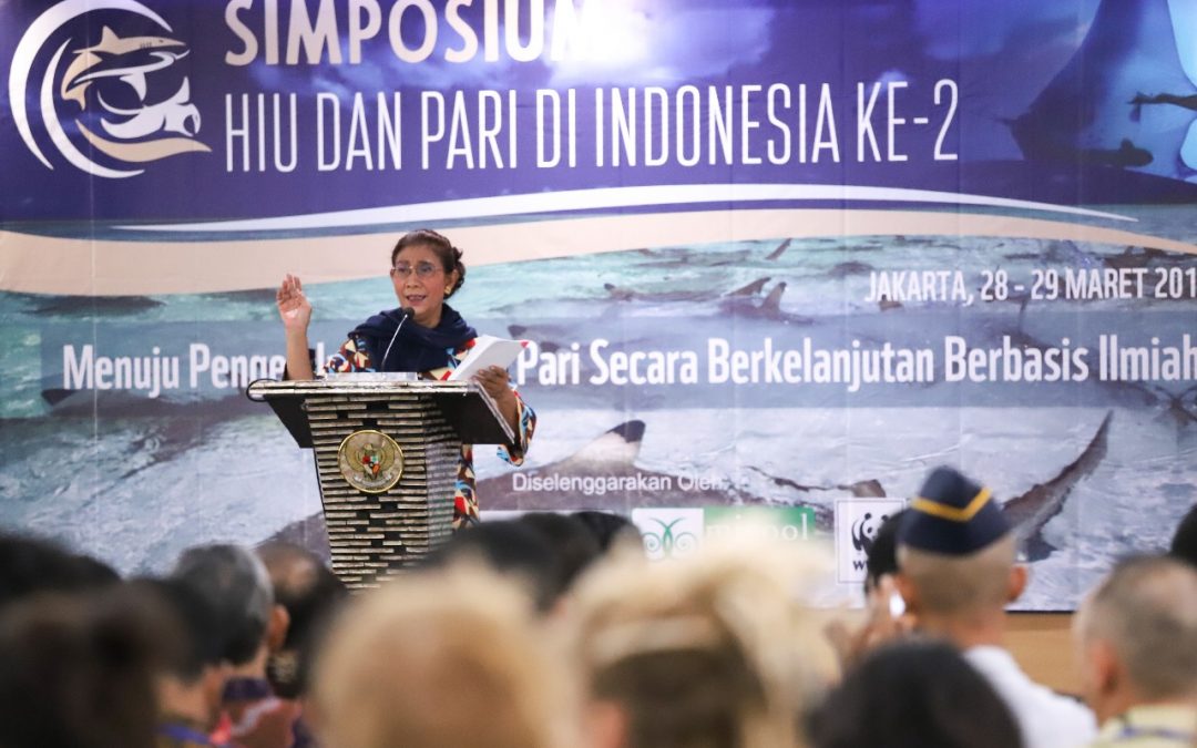 Indonesia builds momentum for shark and ray conservation